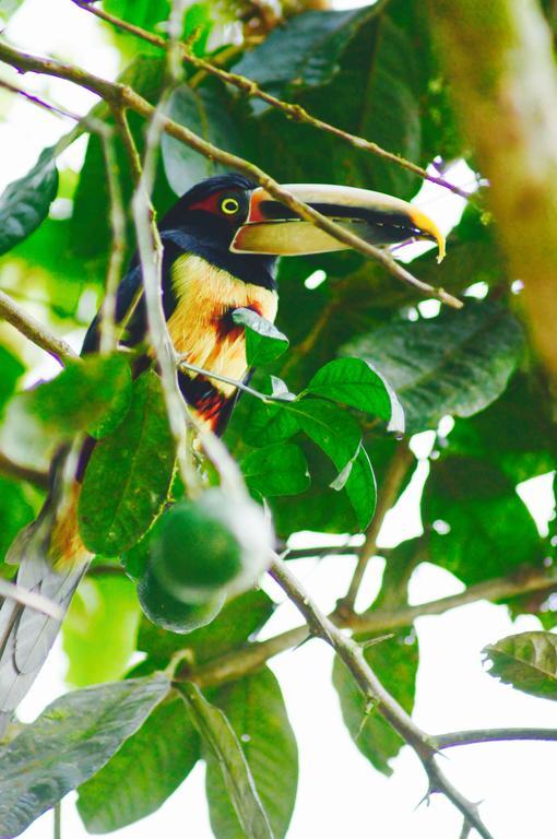 Hacienda Rio Blanco Hotel San Miguel de los Bancos ภายนอก รูปภาพ